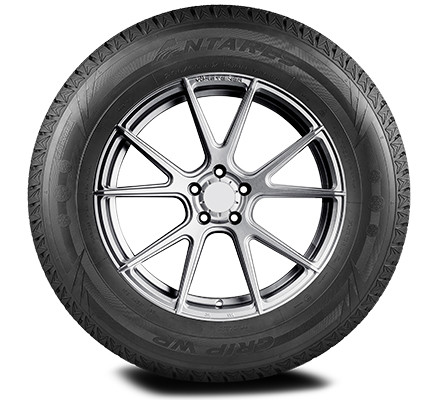 Antares Grip Winter Plus 245/45 R20 99T заказать