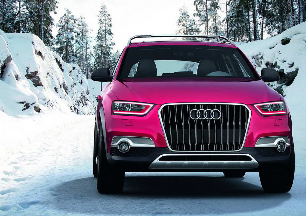 Зимняя резина для Audi Q3