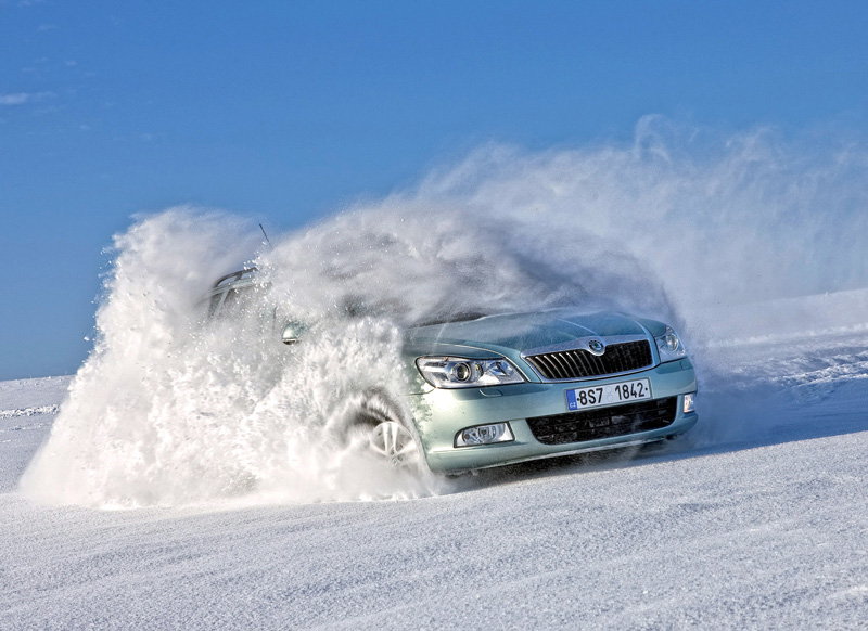 Зимняя резина для Skoda Octavia